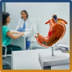 Endoscopic gastric balloon package at ACC Evesuite