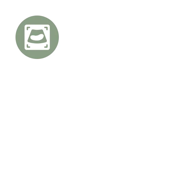 Article (5)
