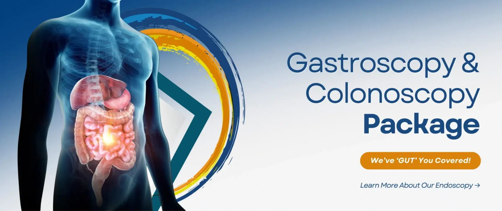 Gastroscopy and colonoscopy package banner showing the digestive system